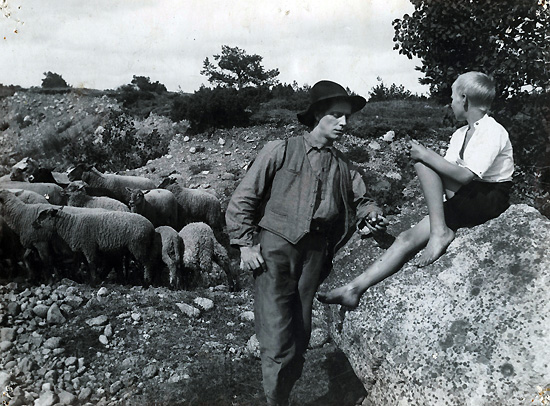Sången om den Eldröda Blomman (Song of the Scarlet Flower, 1919)